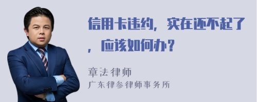 信用卡违约，实在还不起了，应该如何办？