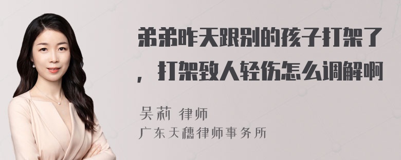 弟弟昨天跟别的孩子打架了，打架致人轻伤怎么调解啊