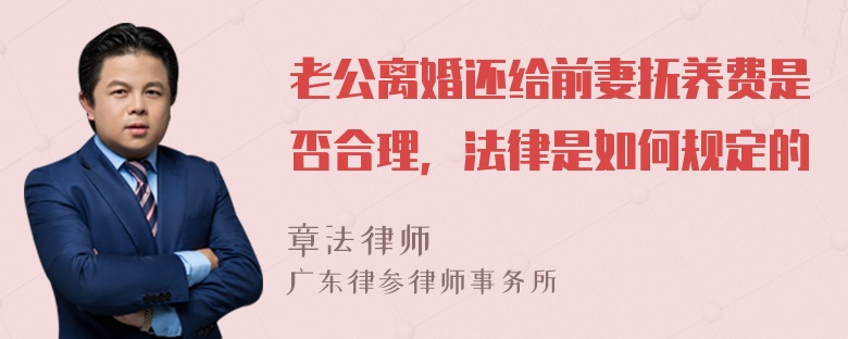 老公离婚还给前妻抚养费是否合理，法律是如何规定的