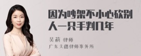 因为吵架不小心砍别人一只手判几年