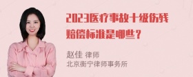 2023医疗事故十级伤残赔偿标准是哪些？