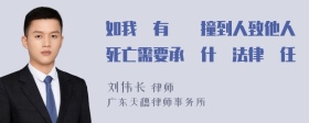 如我沒有開車撞到人致他人死亡需要承擔什麼法律責任