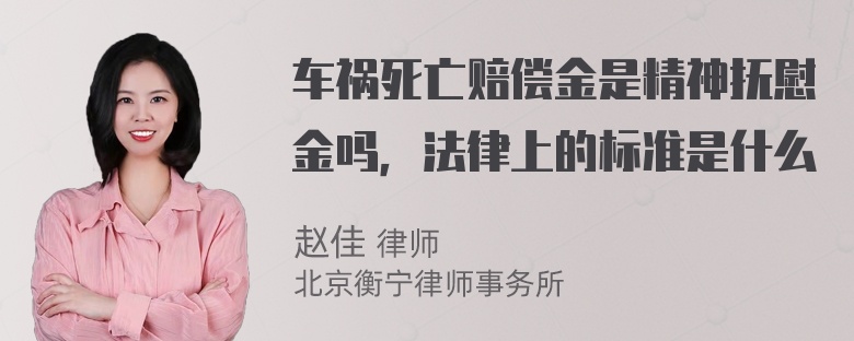 车祸死亡赔偿金是精神抚慰金吗，法律上的标准是什么