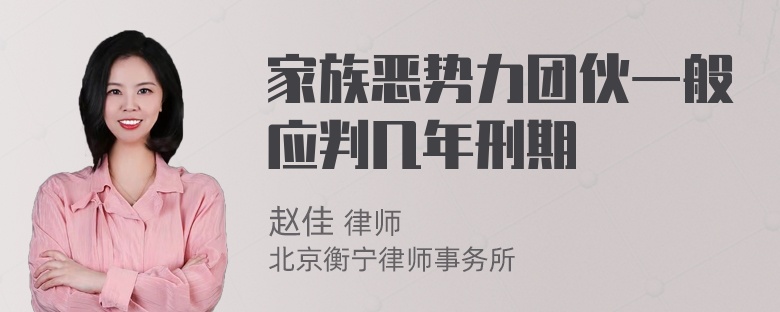 家族恶势力团伙一般应判几年刑期