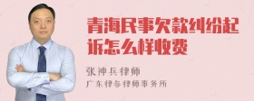 青海民事欠款纠纷起诉怎么样收费