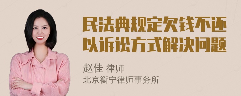 民法典规定欠钱不还以诉讼方式解决问题