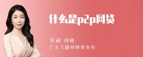 什么是p2p网贷