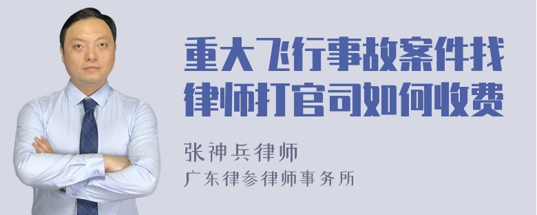 重大飞行事故案件找律师打官司如何收费