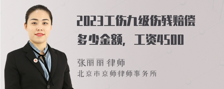 2023工伤九级伤残赔偿多少金额，工资4500