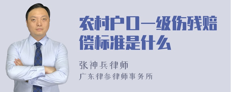 农村户口一级伤残赔偿标准是什么