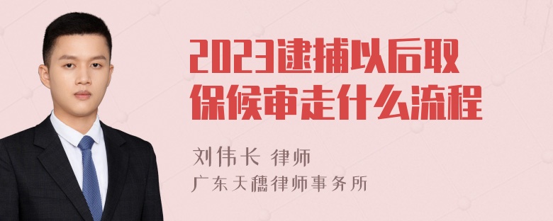 2023逮捕以后取保候审走什么流程