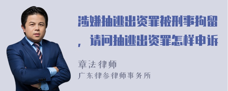 涉嫌抽逃出资罪被刑事拘留，请问抽逃出资罪怎样申诉