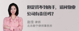 但是找不到凶手，请问物业公司有责任吗？