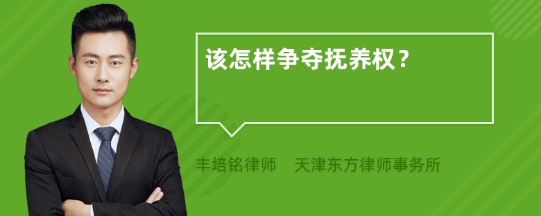 该怎样争夺抚养权？