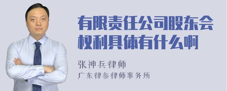 有限责任公司股东会权利具体有什么啊