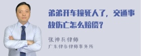 弟弟开车撞死人了，交通事故伤亡怎么赔偿？