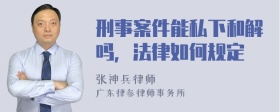 刑事案件能私下和解吗，法律如何规定