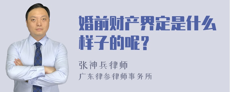 婚前财产界定是什么样子的呢？