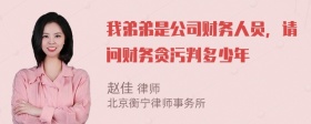 我弟弟是公司财务人员，请问财务贪污判多少年