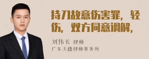 持刀故意伤害罪，轻伤，双方同意调解，