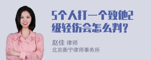 5个人打一个致他2级轻伤会怎么判？