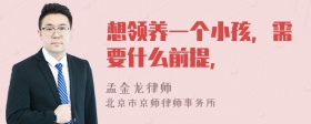 想领养一个小孩，需要什么前提，