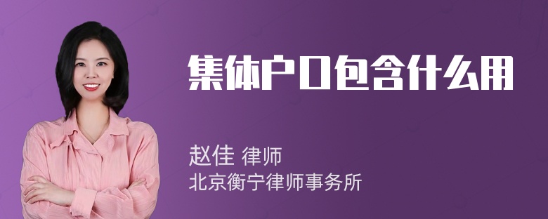 集体户口包含什么用