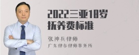 2022三亚18岁抚养费标准