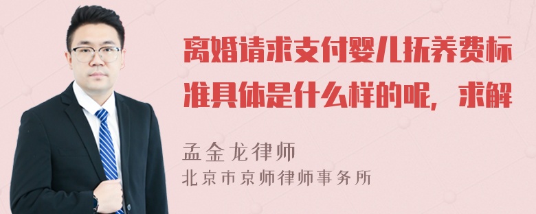 离婚请求支付婴儿抚养费标准具体是什么样的呢，求解