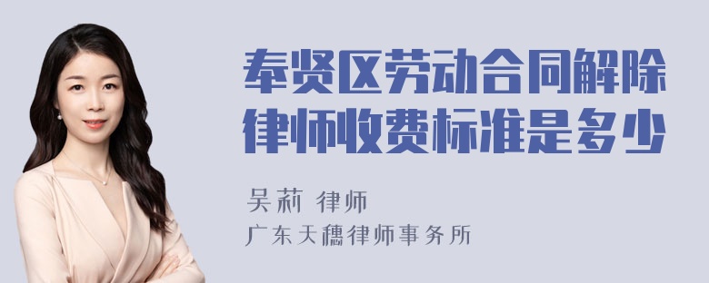 奉贤区劳动合同解除律师收费标准是多少