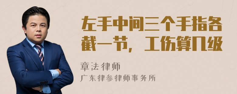 左手中间三个手指各截一节，工伤算几级