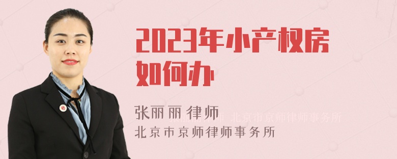 2023年小产权房如何办