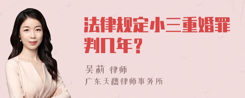 法律规定小三重婚罪判几年？