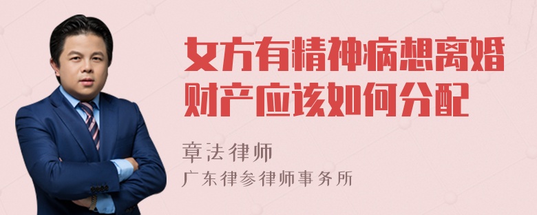 女方有精神病想离婚财产应该如何分配