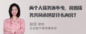 两个人债务还不少，离婚债务共同承担是什么内容？