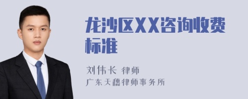 龙沙区XX咨询收费标准