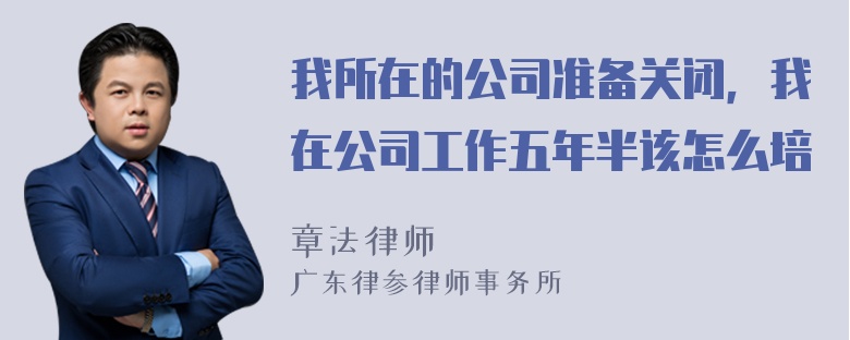 我所在的公司准备关闭，我在公司工作五年半该怎么培