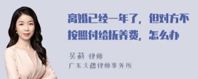 离婚已经一年了，但对方不按照付给抚养费，怎么办