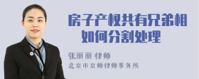 房子产权共有兄弟相爭如何分割处理