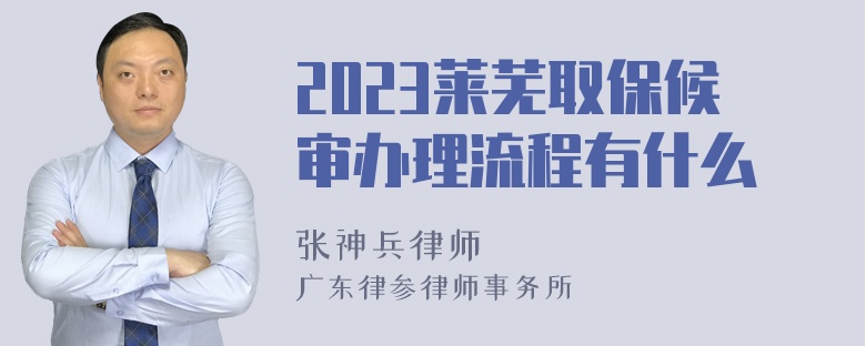 2023莱芜取保候审办理流程有什么