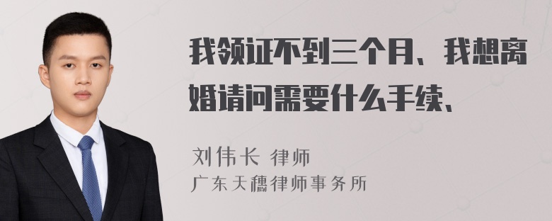 我领证不到三个月、我想离婚请问需要什么手续、