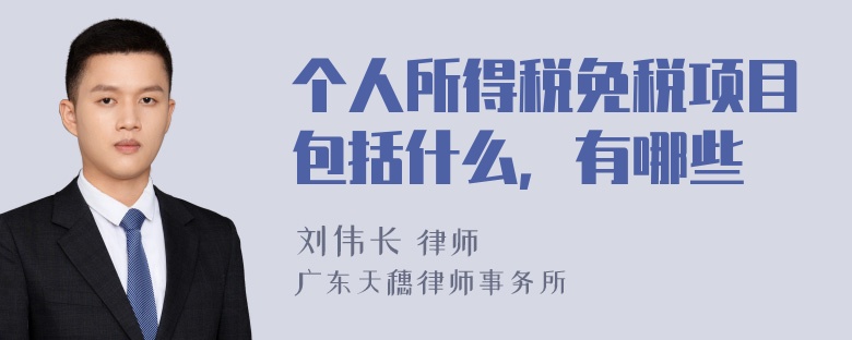 个人所得税免税项目包括什么，有哪些