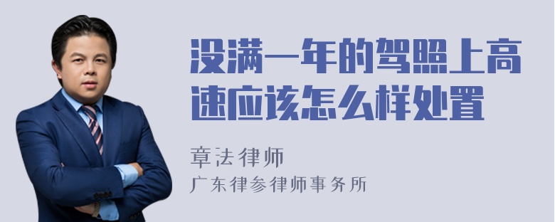 没满一年的驾照上高速应该怎么样处置