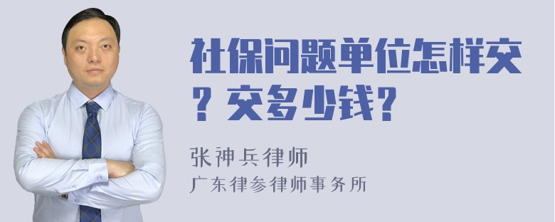 社保问题单位怎样交？交多少钱？