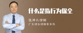 什么是指行为保全