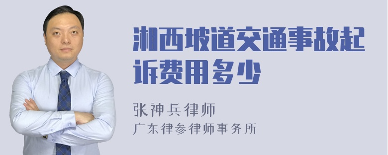 湘西坡道交通事故起诉费用多少