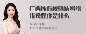 广西所有权确认纠纷诉讼程序是什么