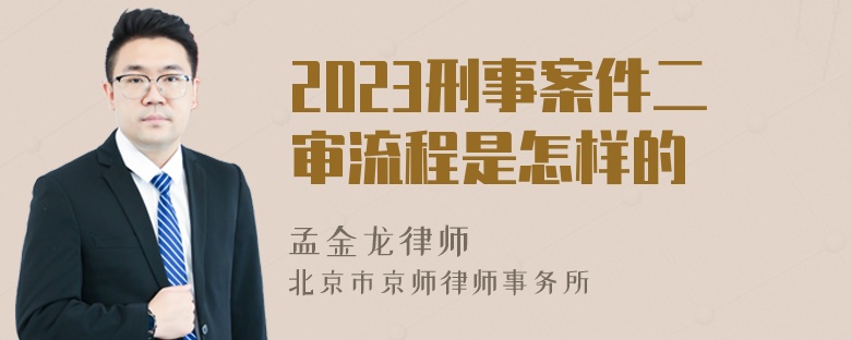 2023刑事案件二审流程是怎样的