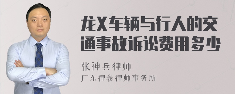 龙X车辆与行人的交通事故诉讼费用多少