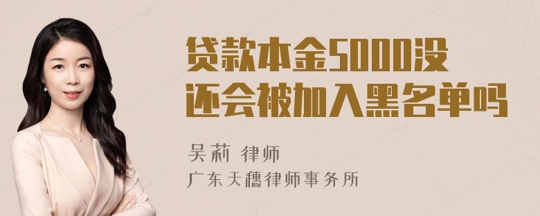 贷款本金5000没还会被加入黑名单吗